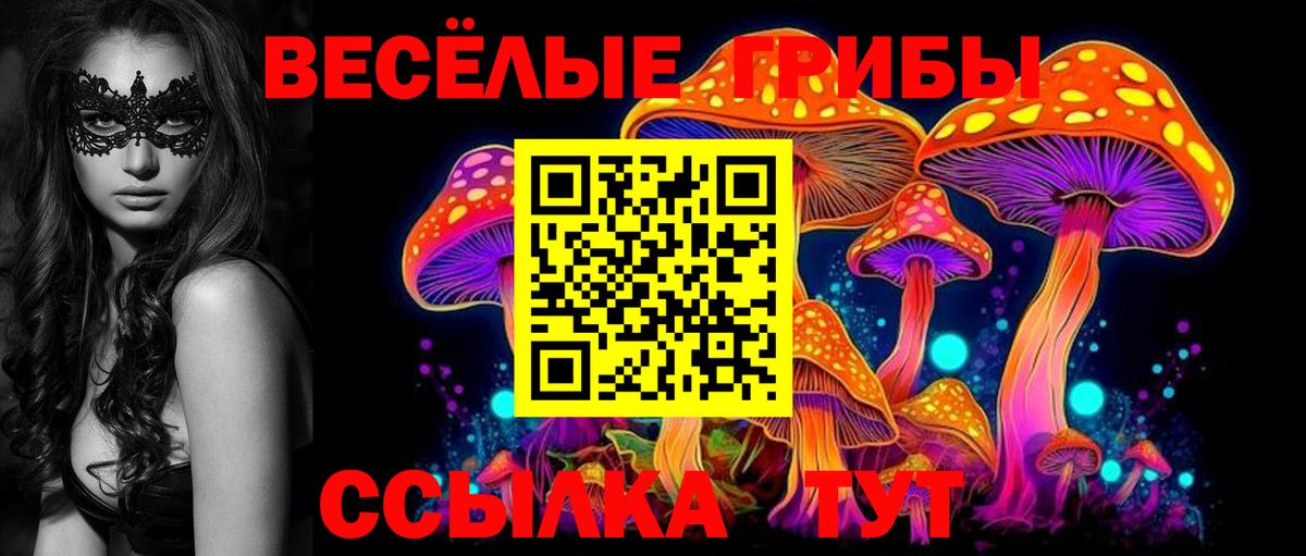 Псилоцибиновые грибы Psilocybine cubensis Александров