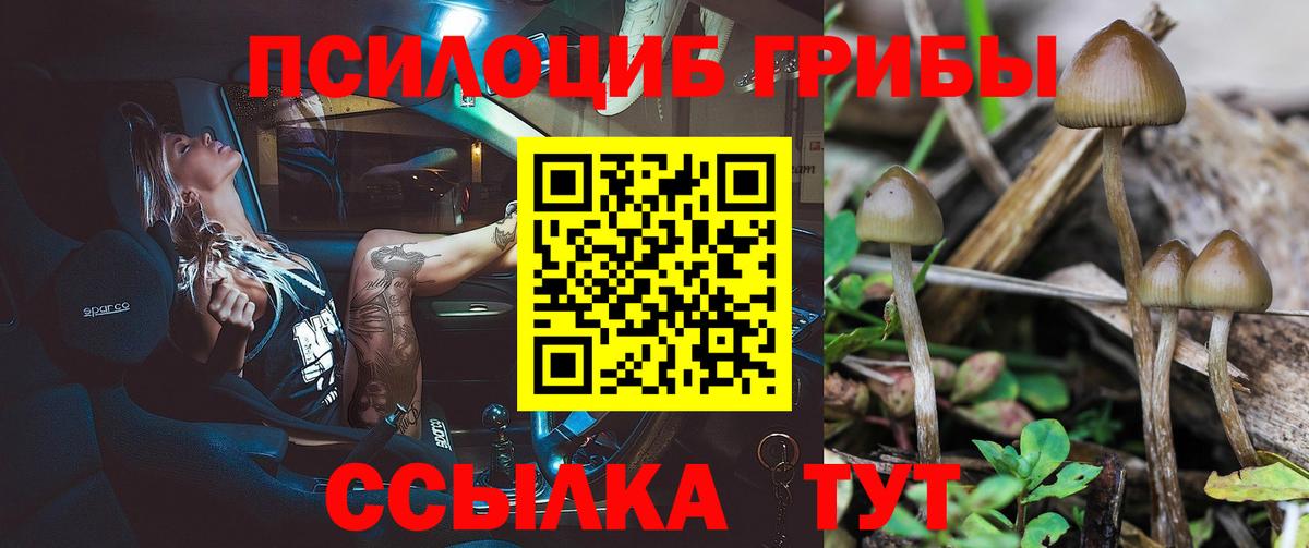 Галлюциногенные грибы ЛСД  Псилоцибиновые грибы мухоморы  Вход с VPN  Александров 